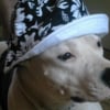 Photo de Kisha