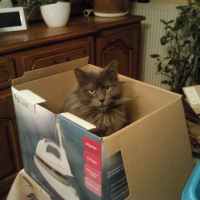 Photo de profil de Prunelle