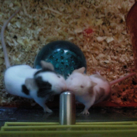 Photo de profil de Tic et tac