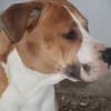Photo de Biggie