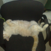 Photo de Athos
