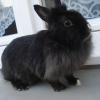 Photo de Lilou