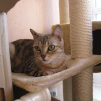 Photo de profil de Effy