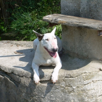 Photo de profil de TaÏra