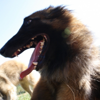Photo de profil de Aiiglon