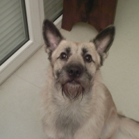 Photo de profil de Bj