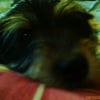 Photo de Charly