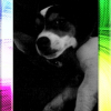 Photo de Laly