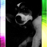Photo de profil de Laly