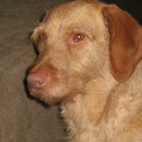 Photo de profil de Pistache