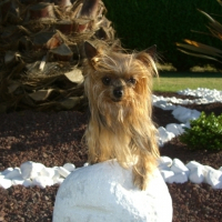 Photo de profil de Romy