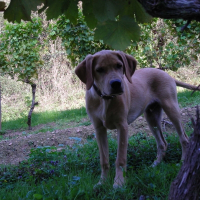 Photo de profil de Junior