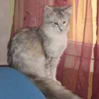 Photo de profil de D'annabelle