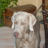 Photo de profil de Cony