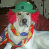 Photo de Piwi