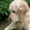 Photo de Vico