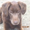 Photo de Boxy