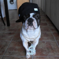 Photo de profil de Anky