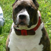 Photo de profil de Tyzon