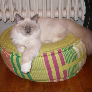 Photo de profil de Elias