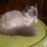 Photo de profil de Dorémie