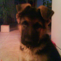 Photo de profil de Emir