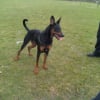Photo de Saskia