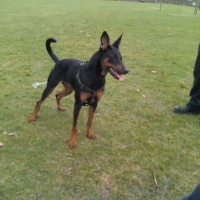 Photo de profil de Saskia