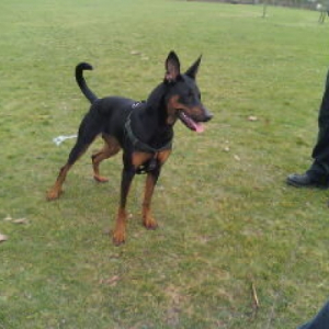 Photo de profil de Saskia