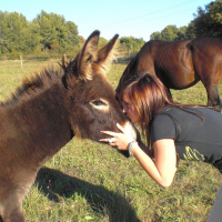Photo de profil de Bambou