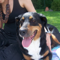 Photo de profil de Dixie