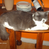 Photo de Desie