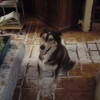 Photo de Roxy