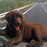 Photo de profil de Easy