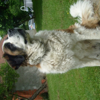 Photo de profil de Roxane