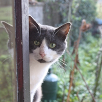 Photo de profil de Le gris