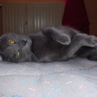 Photo de profil de Gaïa