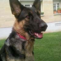 Photo de profil de Caline