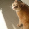 Photo de Titan