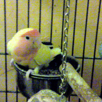 Photo de profil de Eris