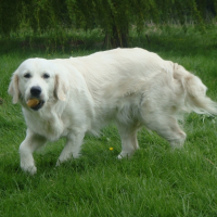 Photo de profil de Sushi