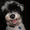 Photo de Margo