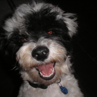 Photo de profil de Margo