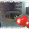 Photo de Kelly