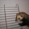 Photo de Duncan