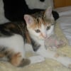 Photo de Canelle