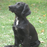 Photo de profil de Enki