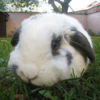 Photo de profil de Buzy