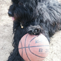 Photo de profil de Pazzie