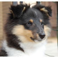 Photo de profil de Eden